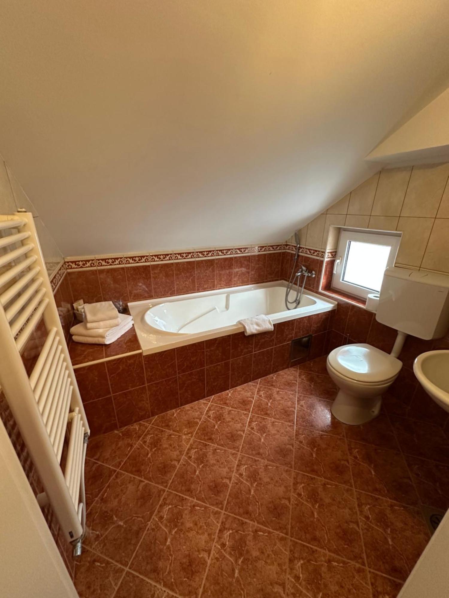 Hotel Grande Celje Zewnętrze zdjęcie